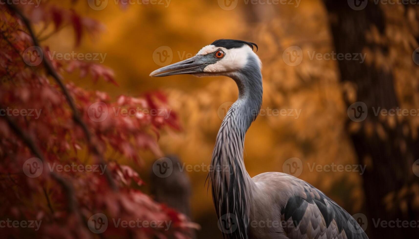 Elegant heron perching on branch in forest generated by AI photo