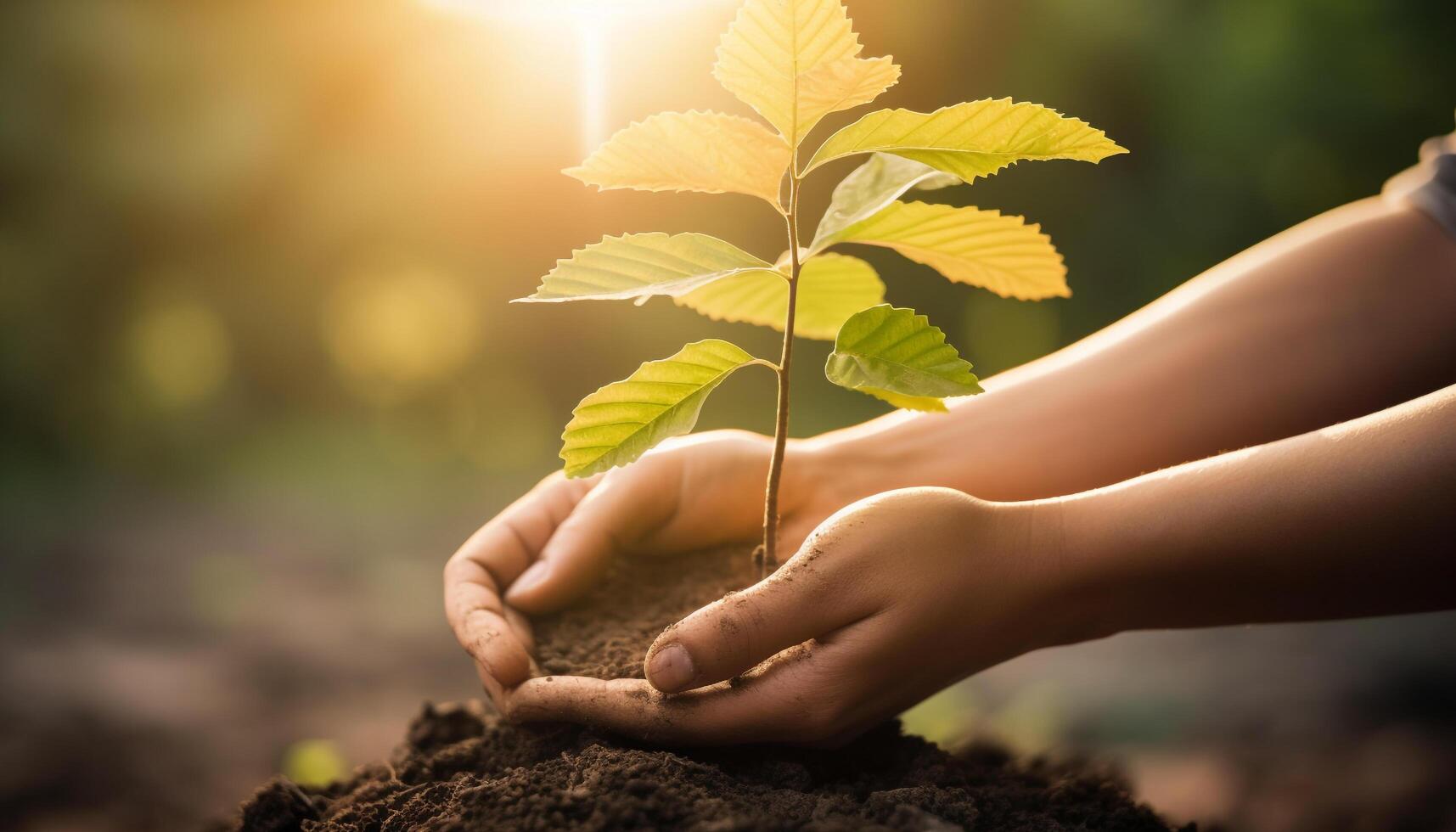 New life begins as human hand holds seedling in dirt generated by AI photo