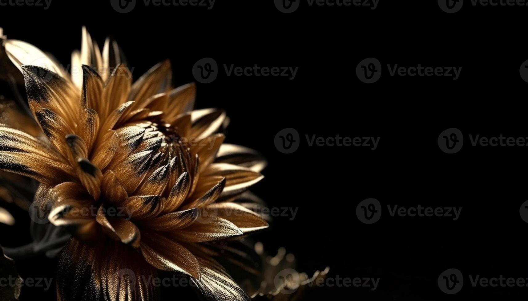 Fresh gerbera daisy symbolizes beauty in nature elegance and fragility generated by AI photo