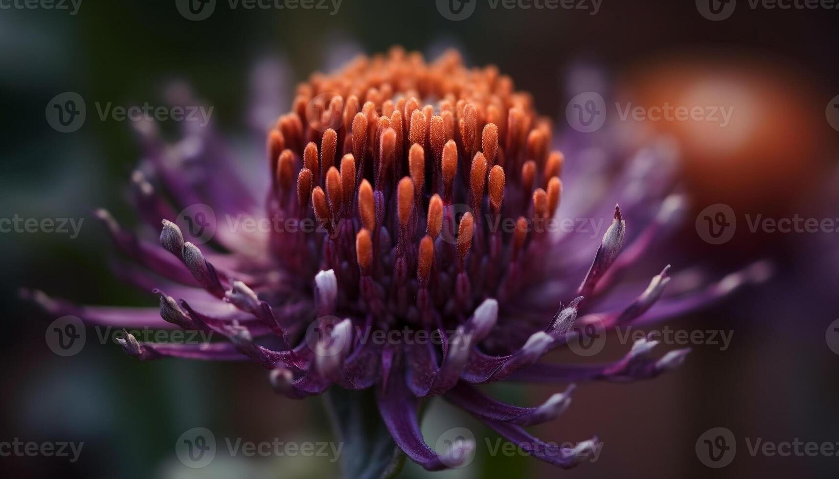 Fresh purple daisy in meadow, pollinated by busy bee generated by AI photo