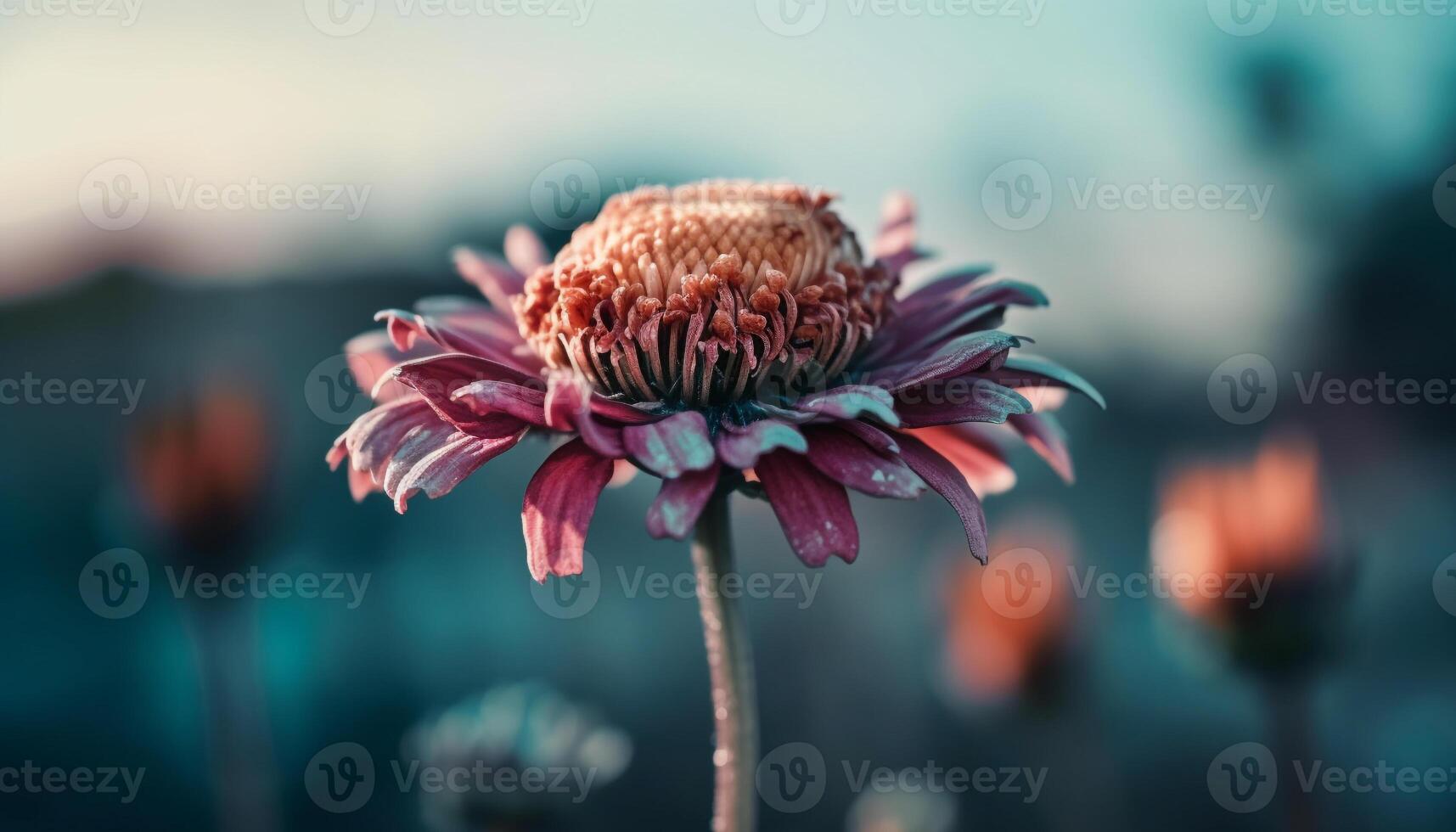 Vibrant gerbera daisy blossom, close up, with pollen and sunlight generated by AI photo