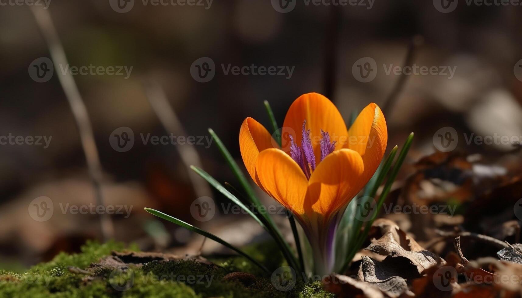 Vibrant wildflowers bloom in meadow, showcasing natural beauty outdoors generated by AI photo