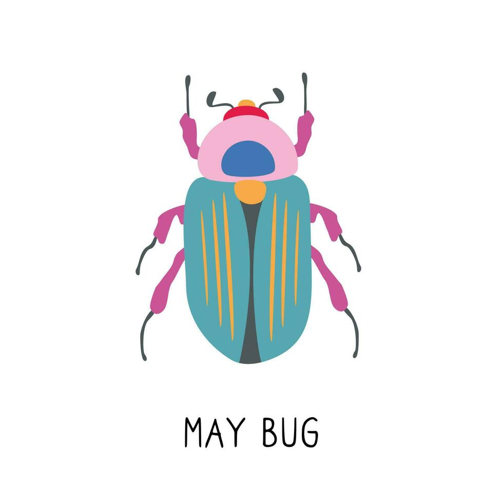 may bug scarab with wings top view, vector graphic color illustration on white background