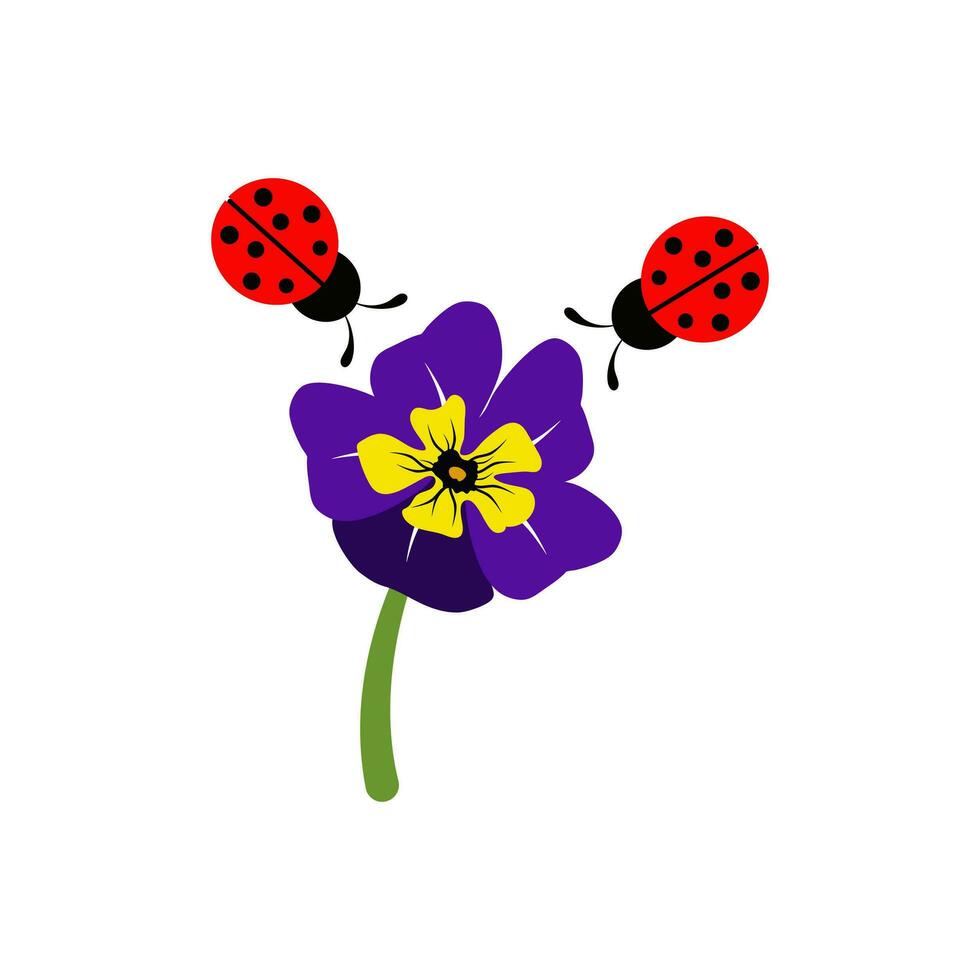 Cute print with Viola flowers and ladybugs on a white background. vector
