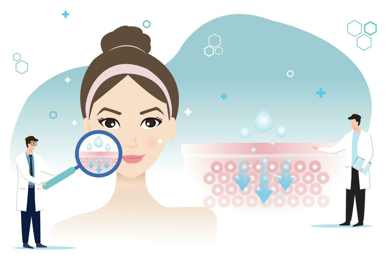 The dermatologist diagnose and describe, the mechanism of nutrient absorption through skin vector on white background. The other one is holding magnifying glass, enlarged healthy absorbed skin.