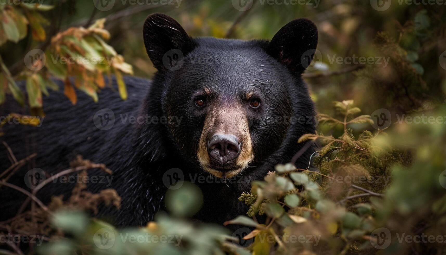 Purebred black canine walking on wet grass, looking at camera generated by AI photo