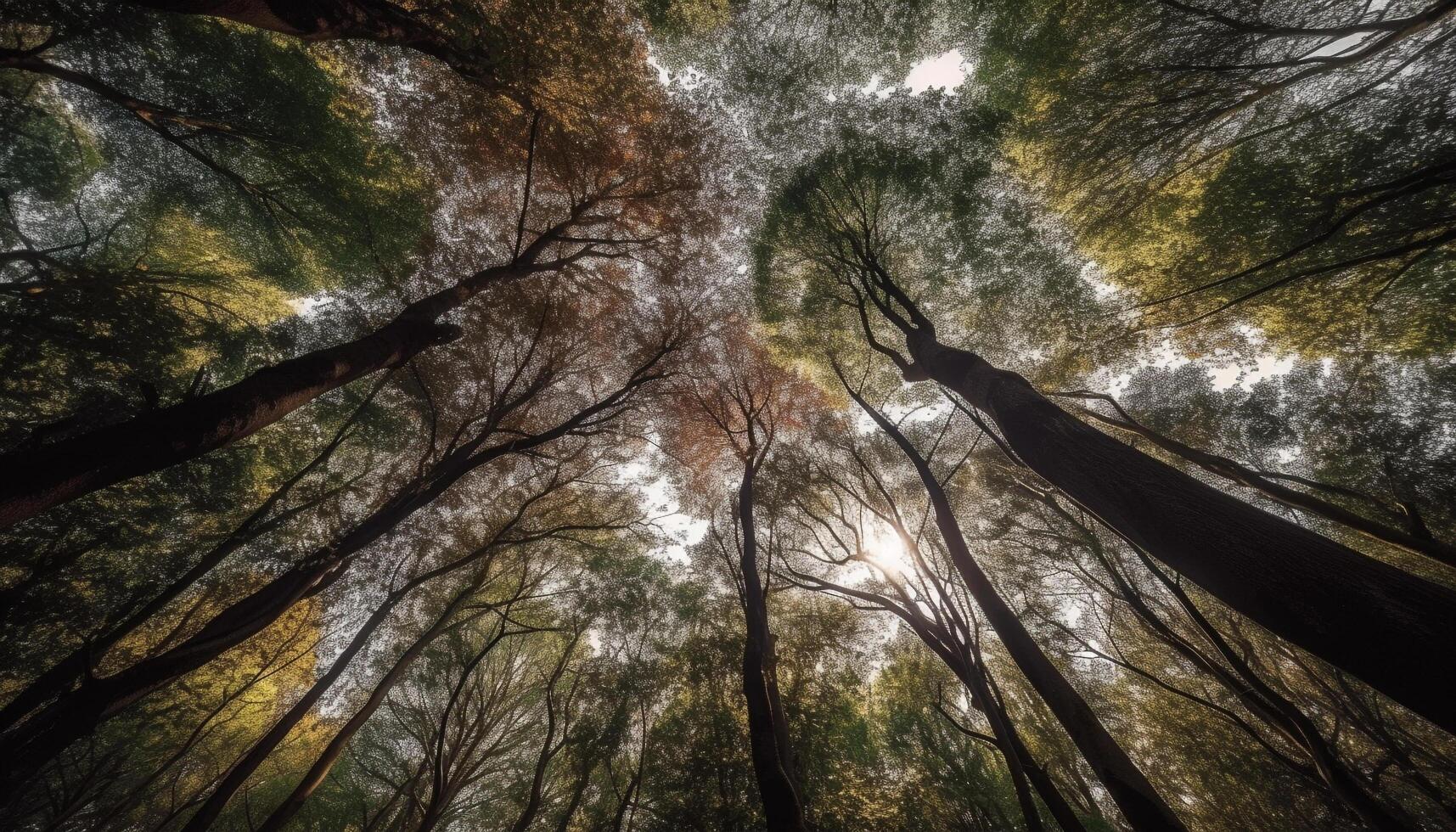 Vibrant autumn leaves adorn the tranquil forest landscape in October generated by AI photo