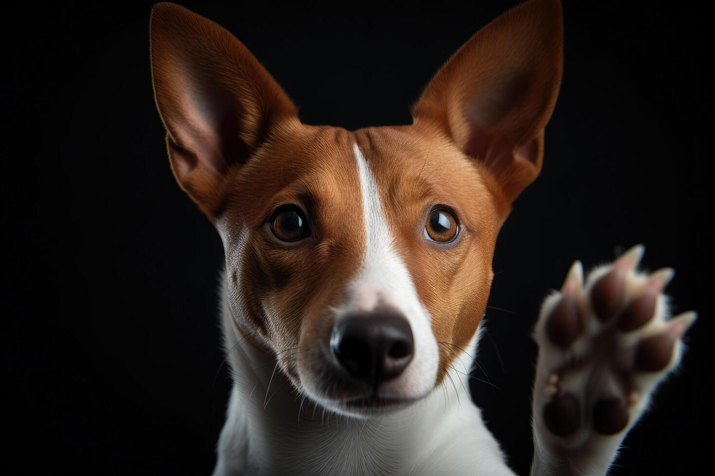 retrato de un perro raza basenji en un negro antecedentes ai generado foto