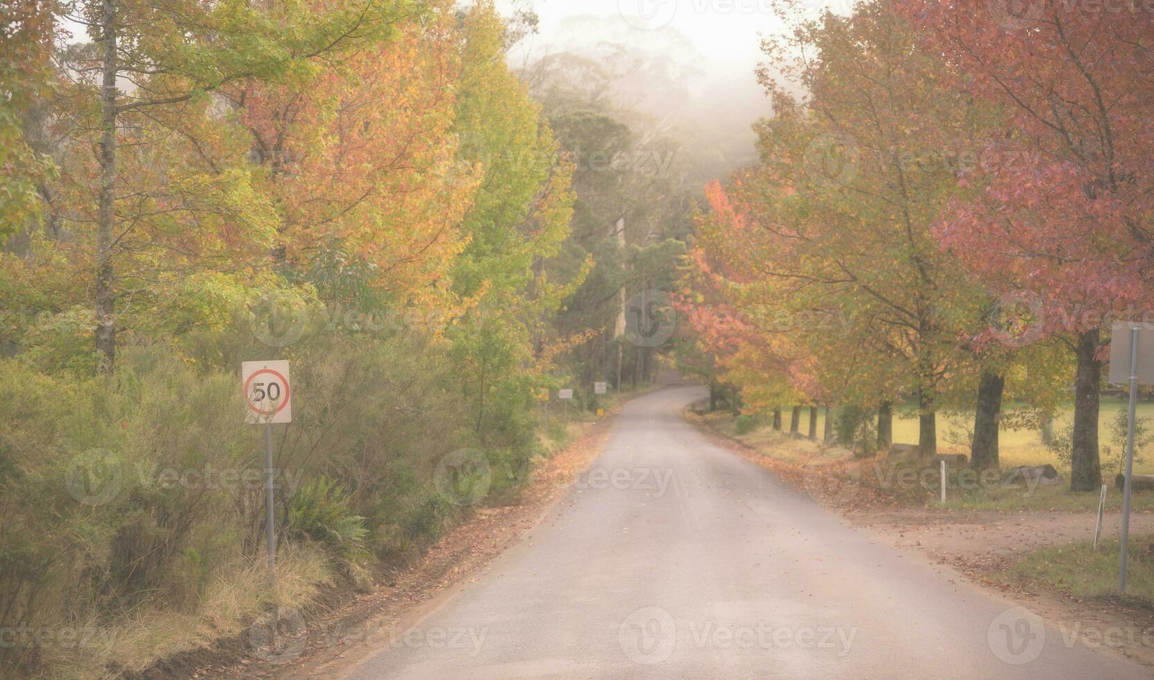 abstract background of autumn leaves autumn background, beautiful fall landscape on autumn yellow red and brown in fall months photo