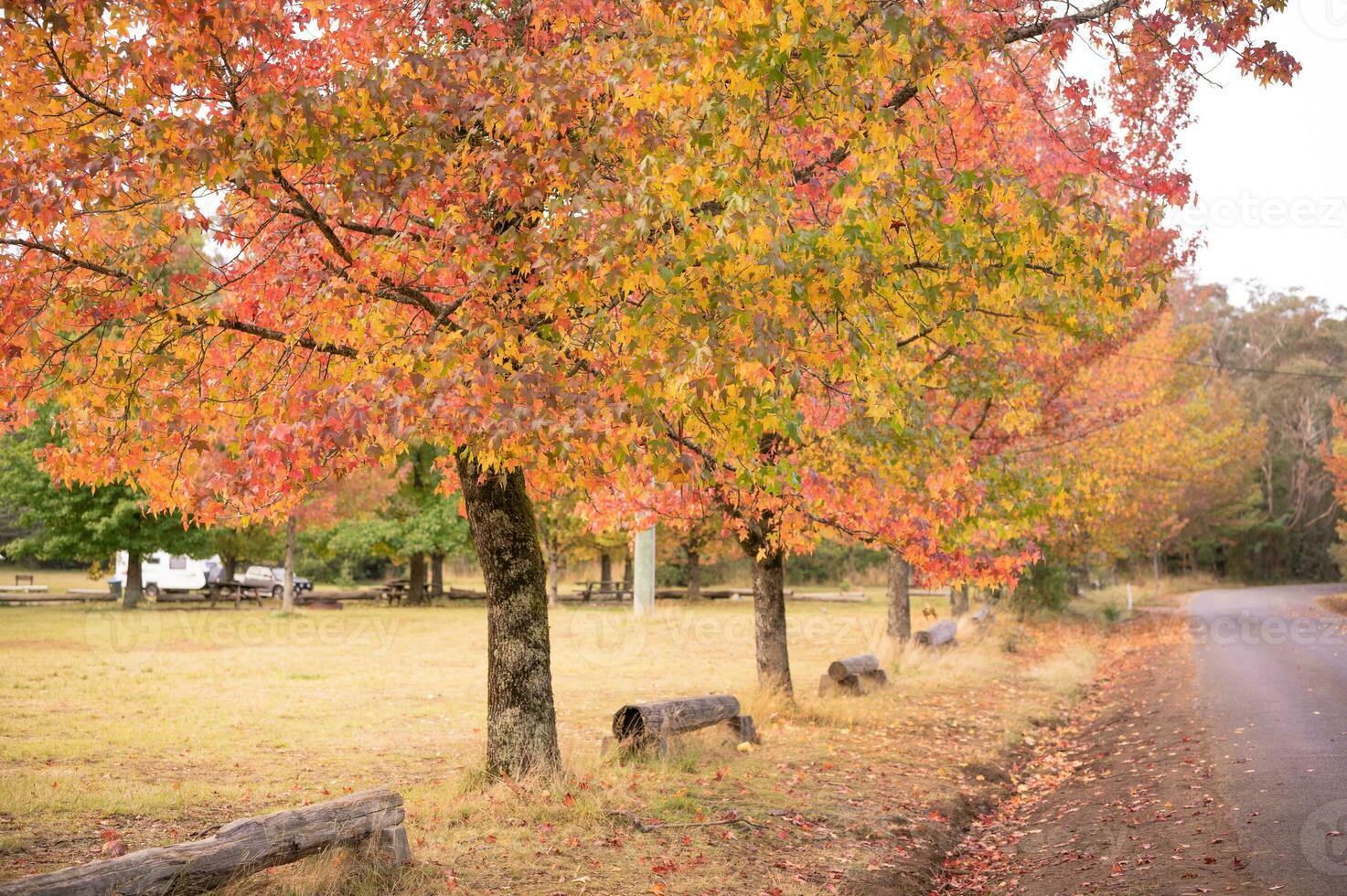abstract background of autumn leaves autumn background, beautiful fall landscape on autumn yellow red and brown in fall months photo