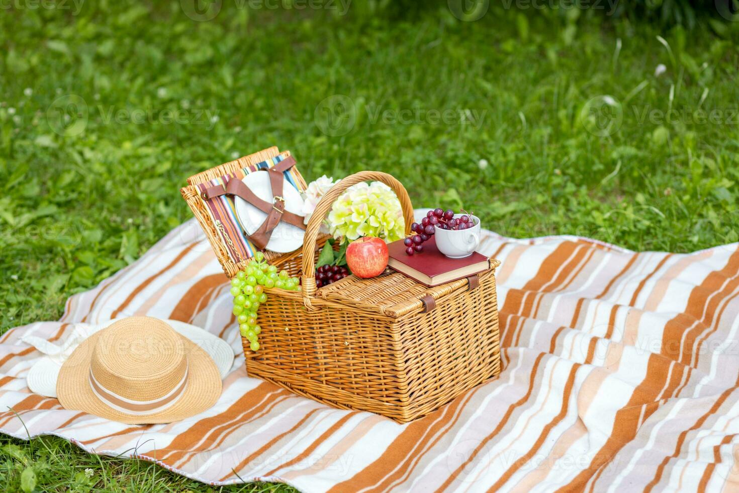 outdoor recreation. picnic in the meadow photo