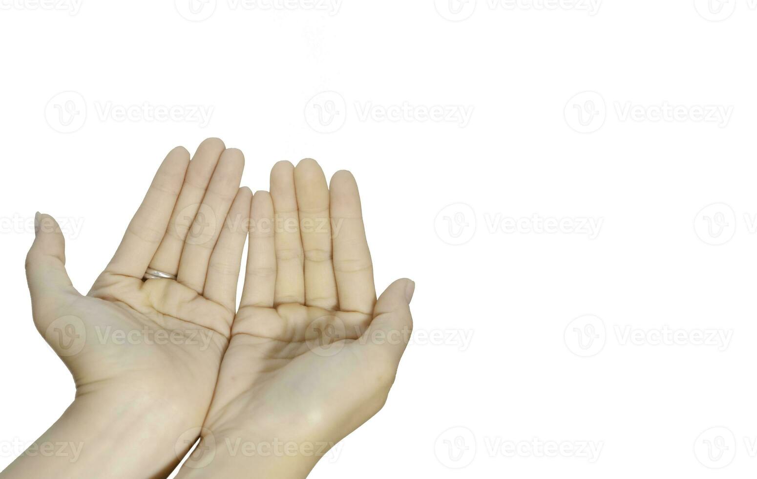 two empty female beautiful hands open with palms up closeup of top view isolated on white background photo