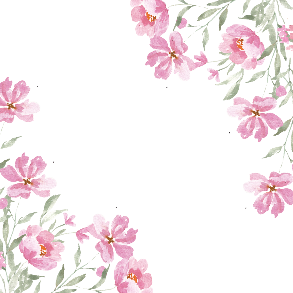 Pink English Rose Watercolor Flower Border png