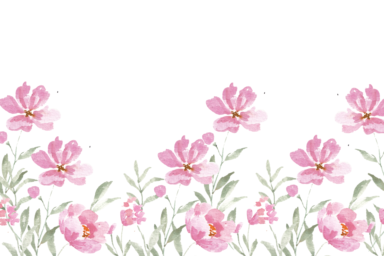 Pink English Rose Watercolor Flower Background png