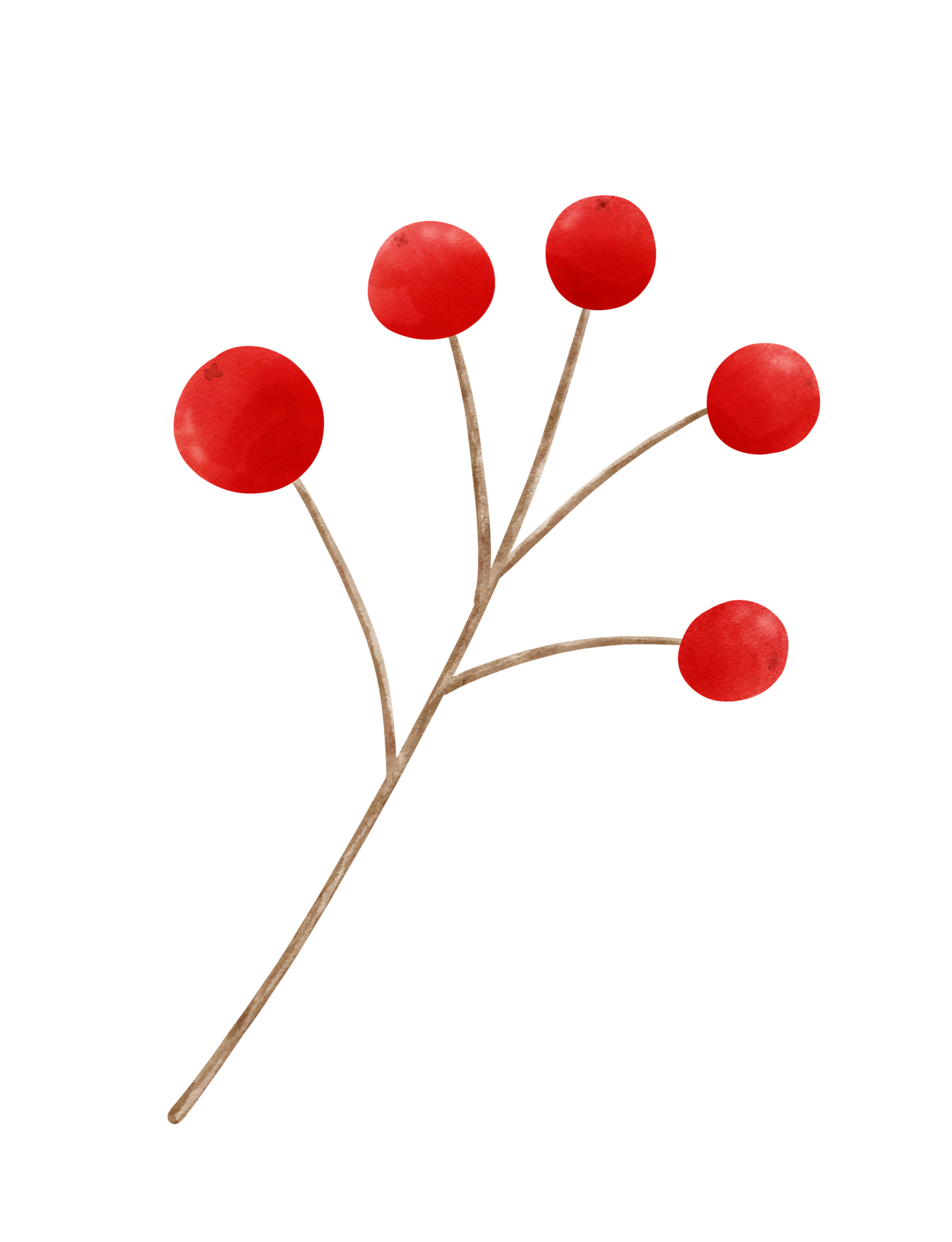 flower water color 24584364 PNG