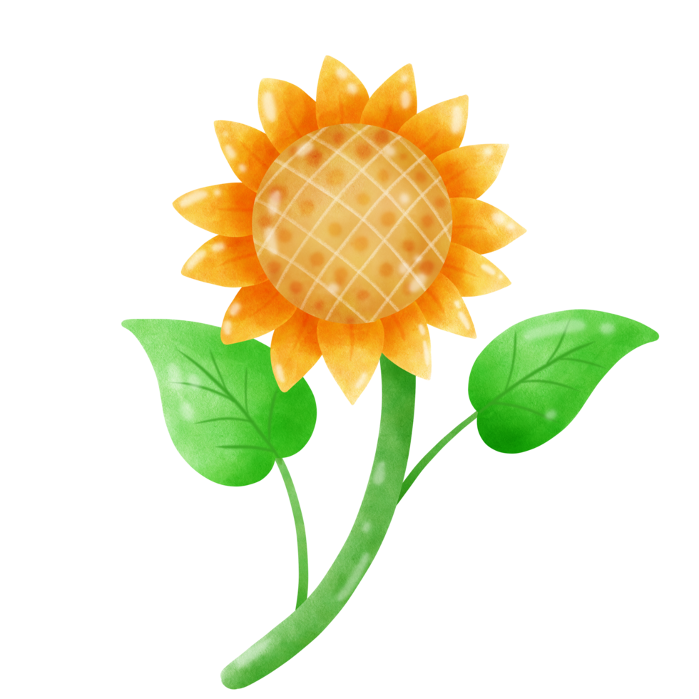 flower water color png