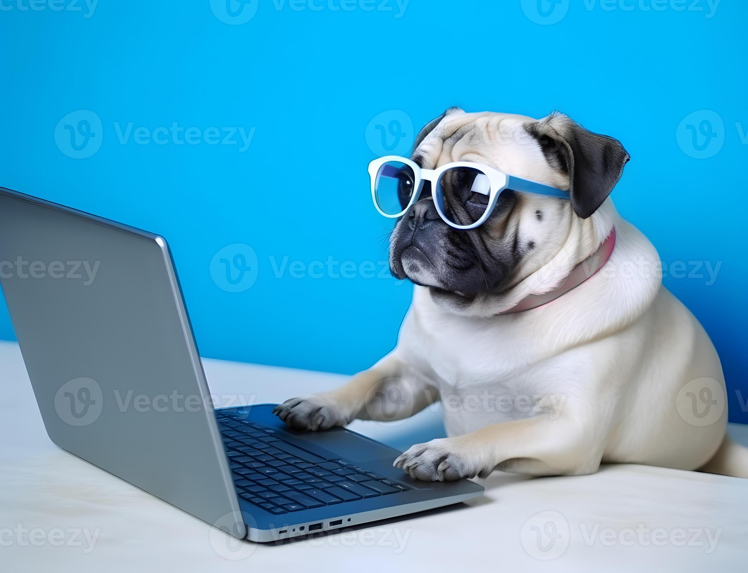 Pug dog sales with glasses