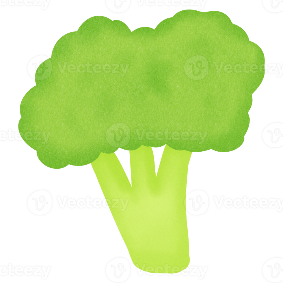 water color broccoli png