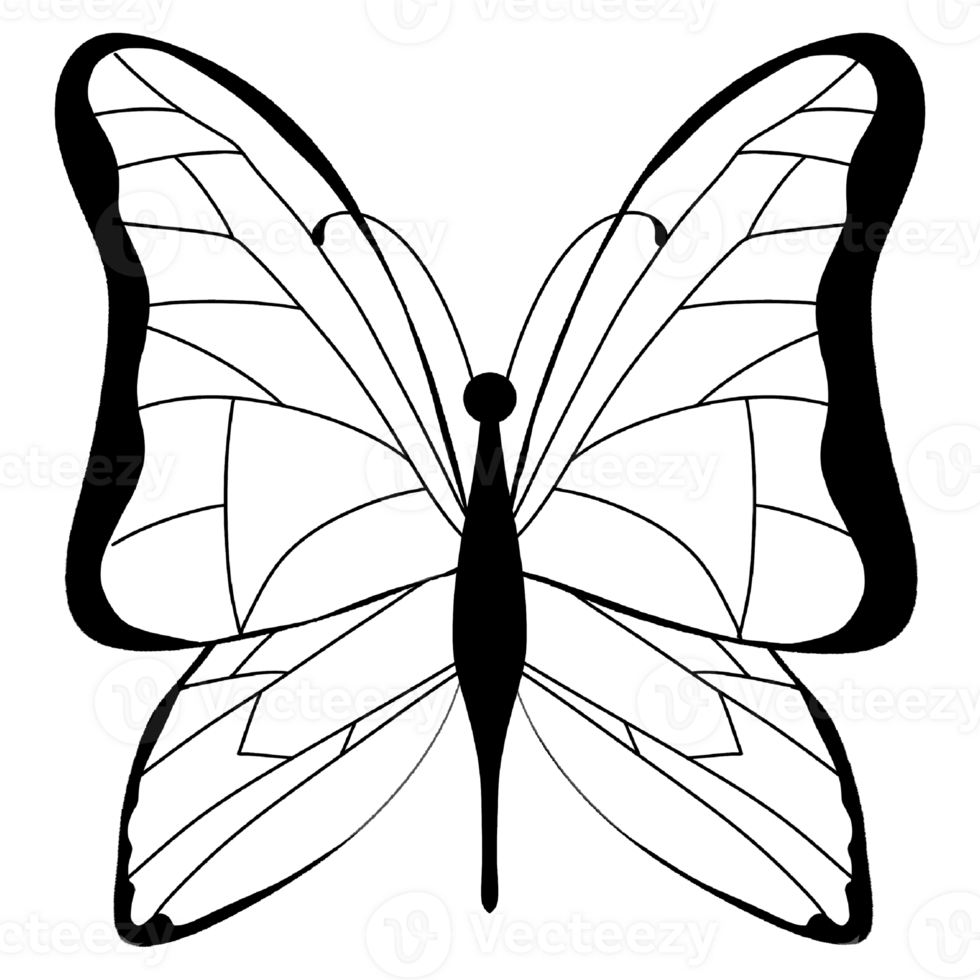 Little lovely butterfly png