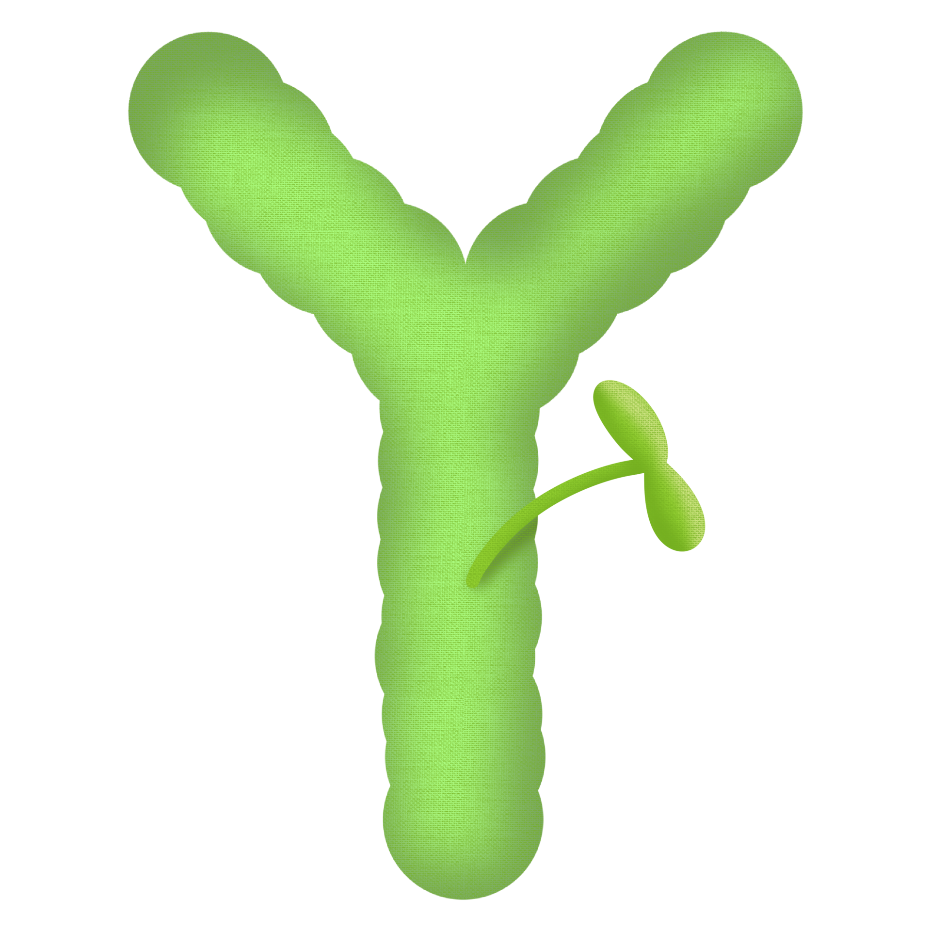 Green english alphabet and little tree 24584668 PNG