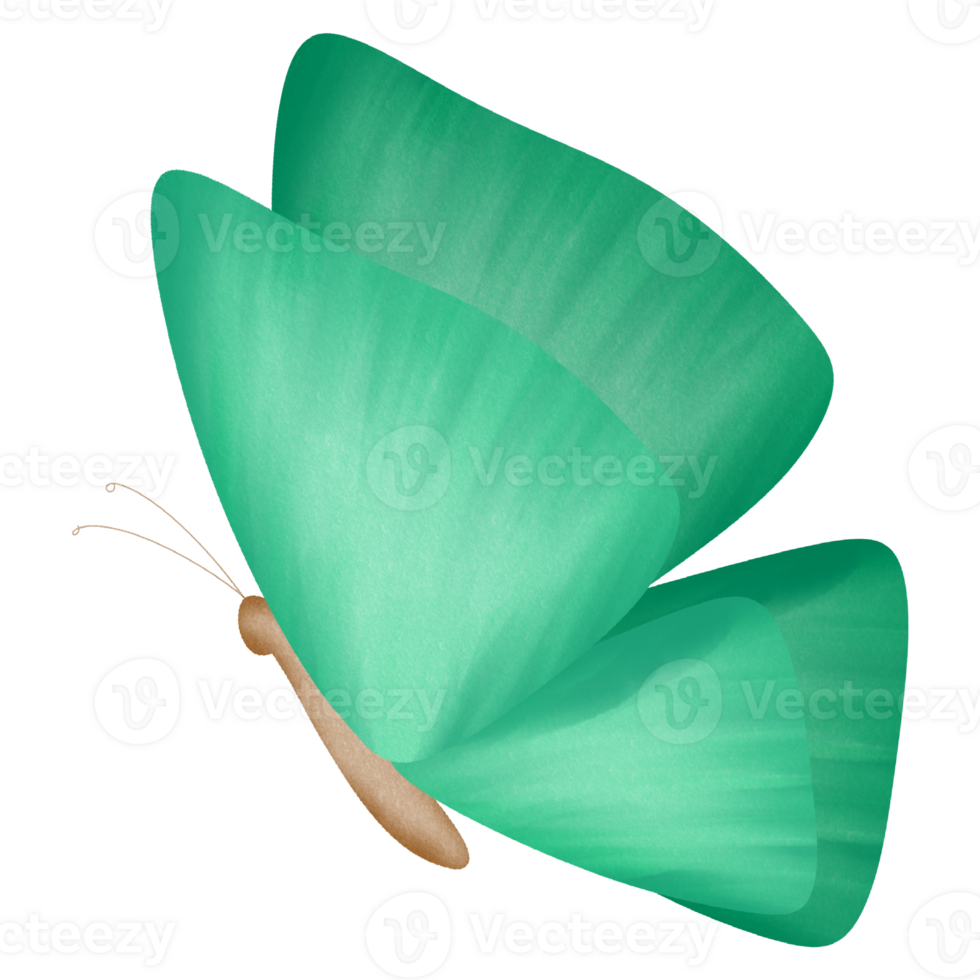 Little lovely butterfly png