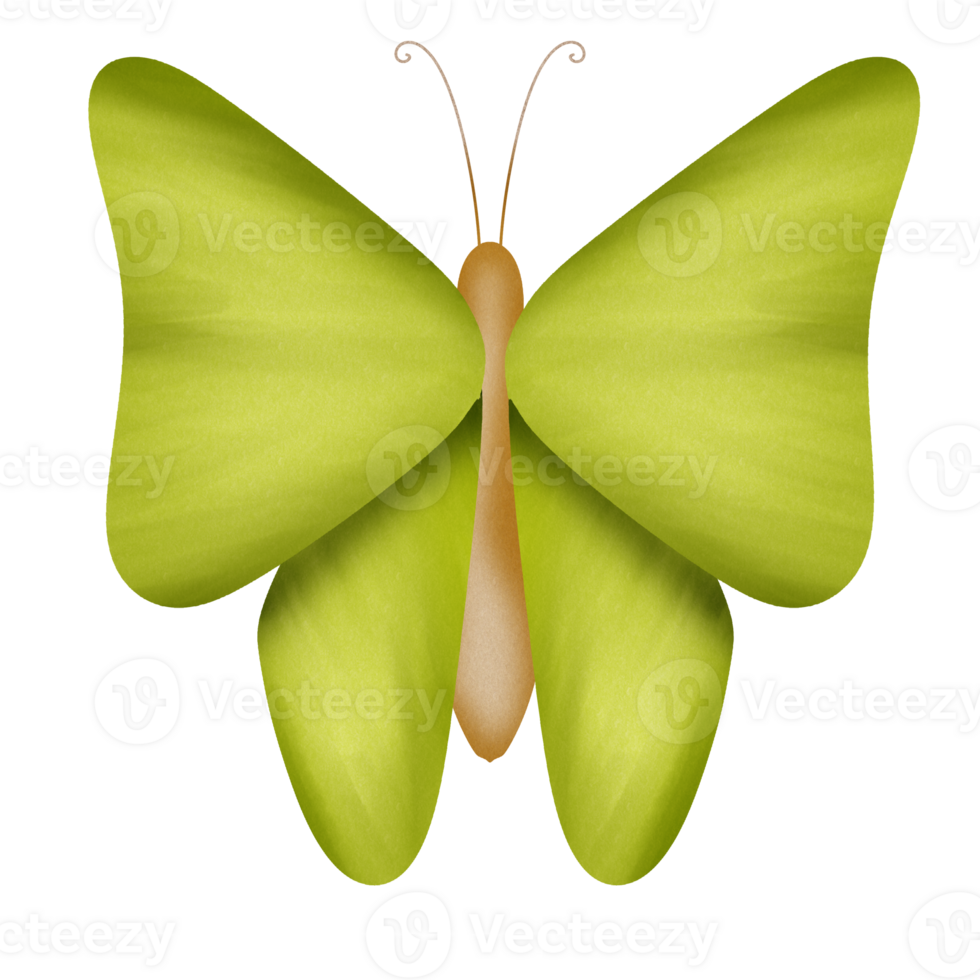 Little lovely butterfly png