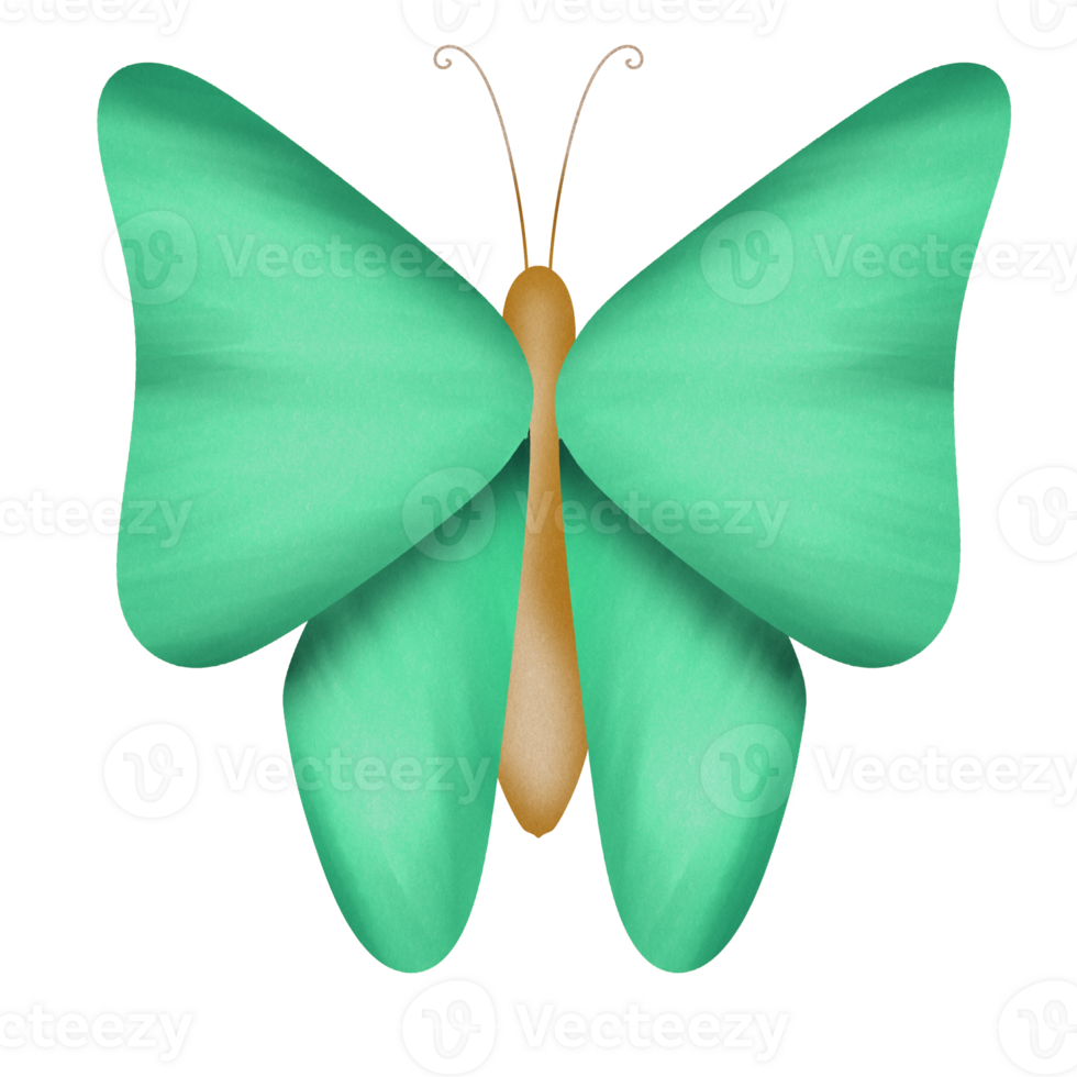 Little lovely butterfly png