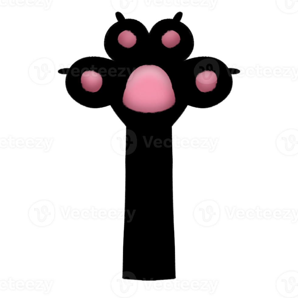 Kitten's little paw png