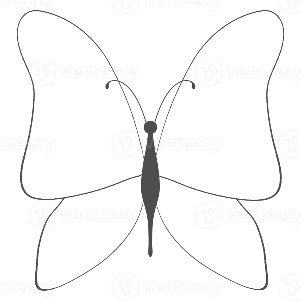 Little lovely butterfly png