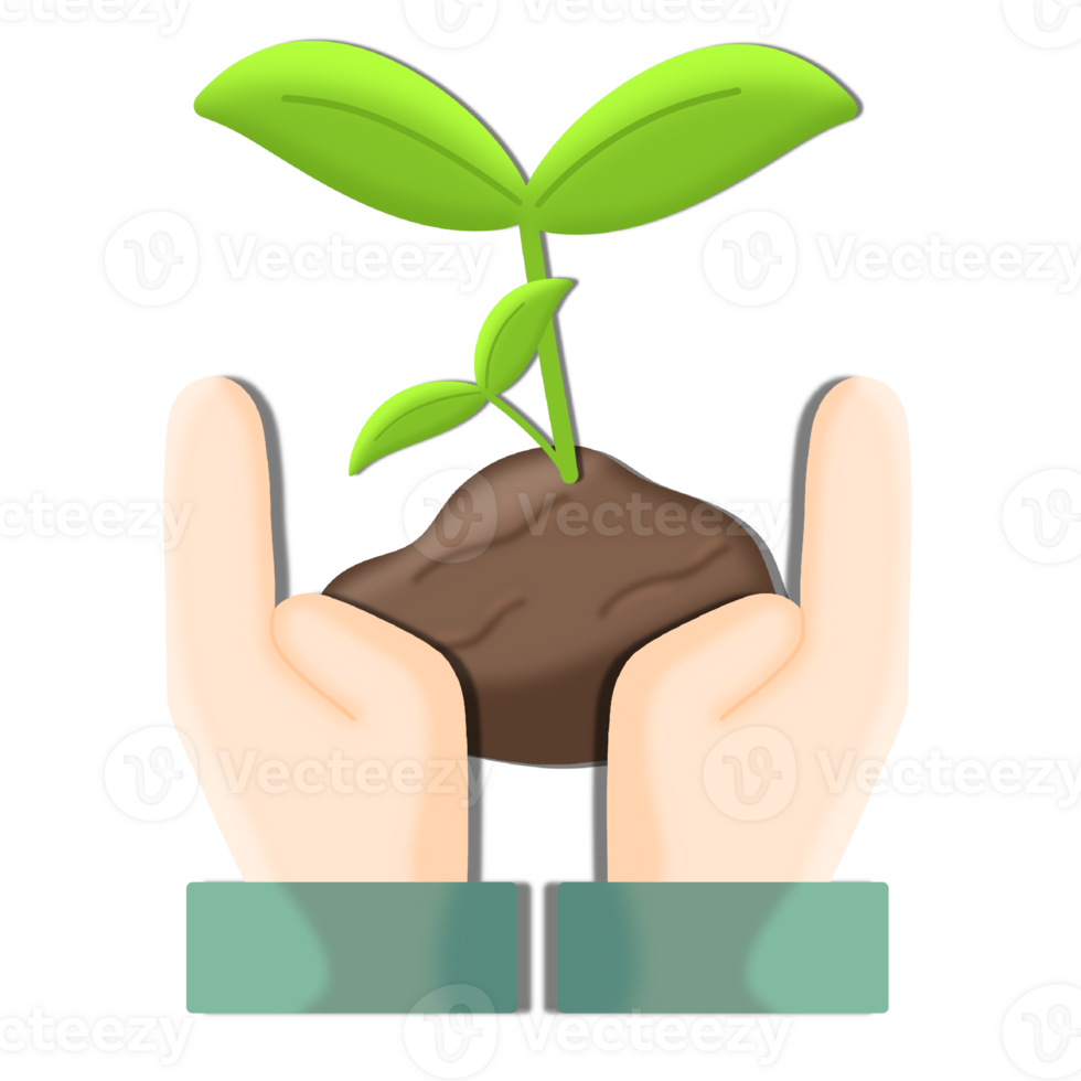 A little tree on hand 24584900 PNG