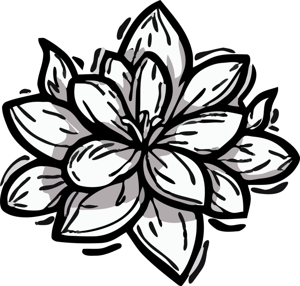 sketchy flower png graphic clipart design