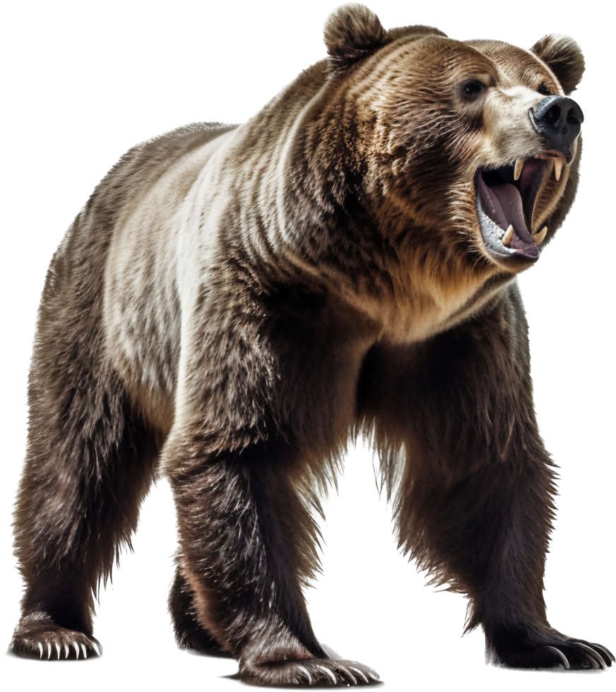 Urso png com ai gerado.