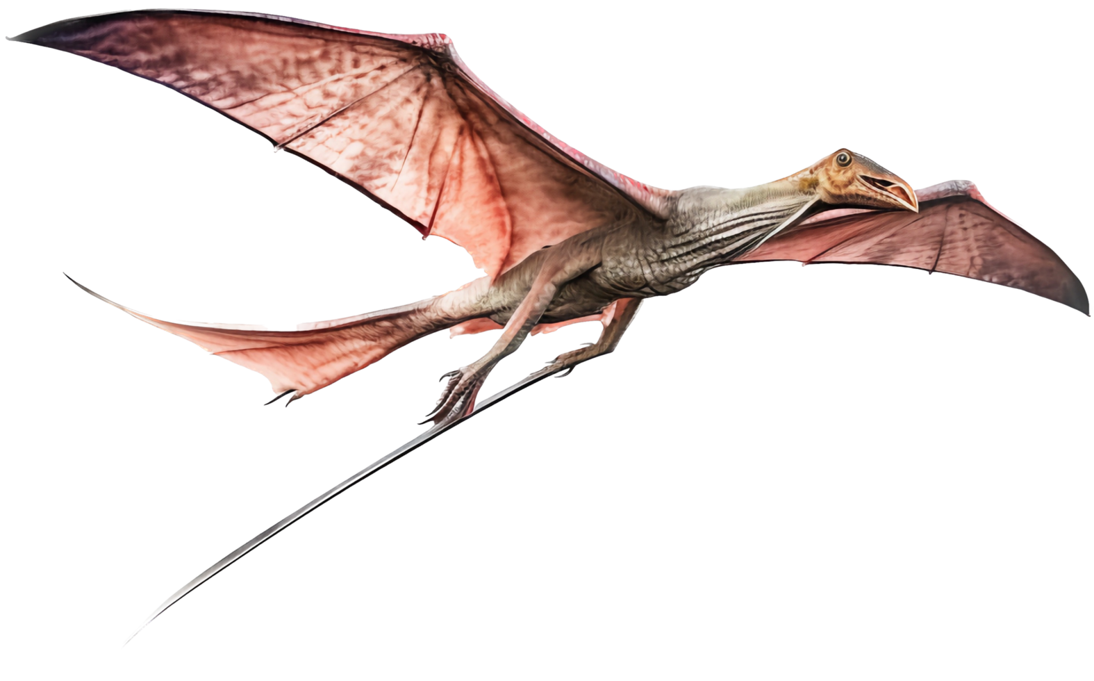 Pteranodon flying with . png