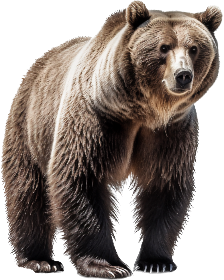 orso png con ai generato.