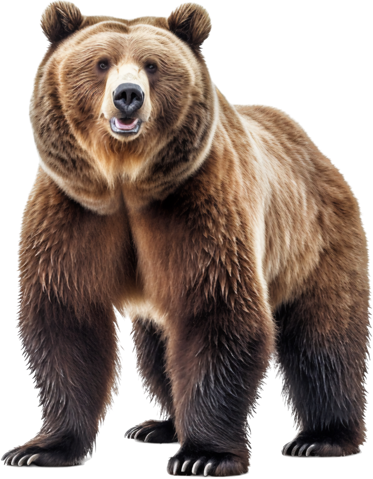 Urso png com ai gerado.