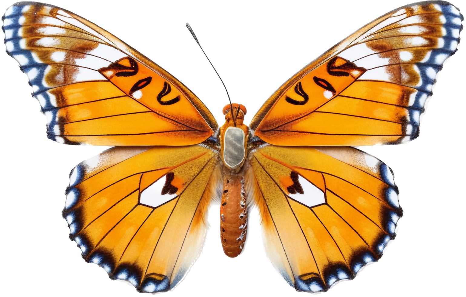 Schmetterling png mit ai generiert.