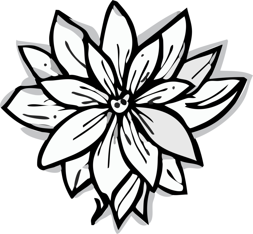 sketchy flower png graphic clipart design