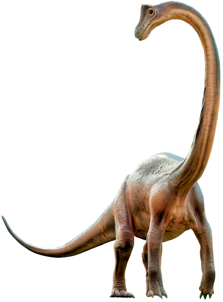 Brachiosaurus with . png