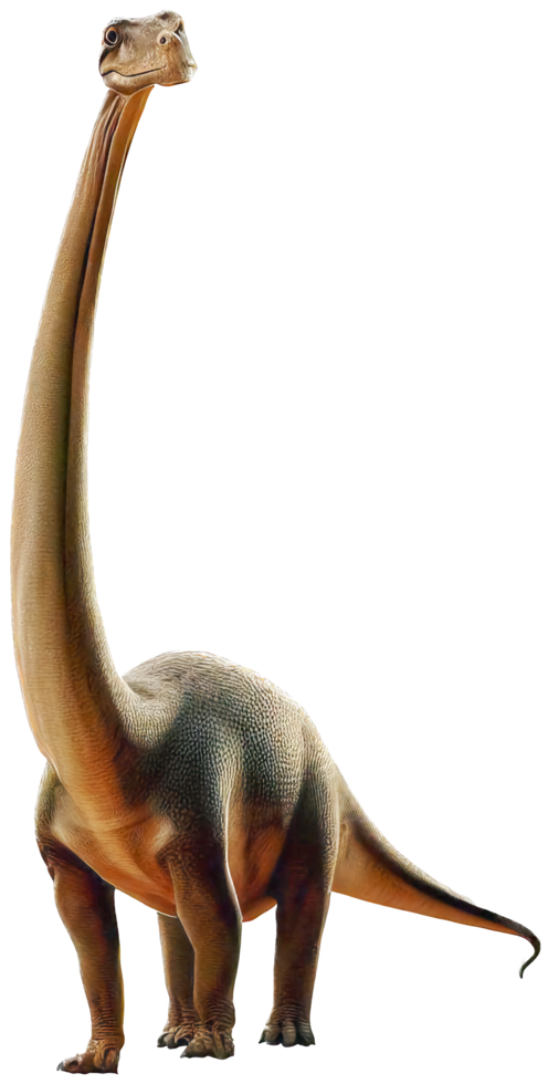 brachiosaurus png med ai genererad.