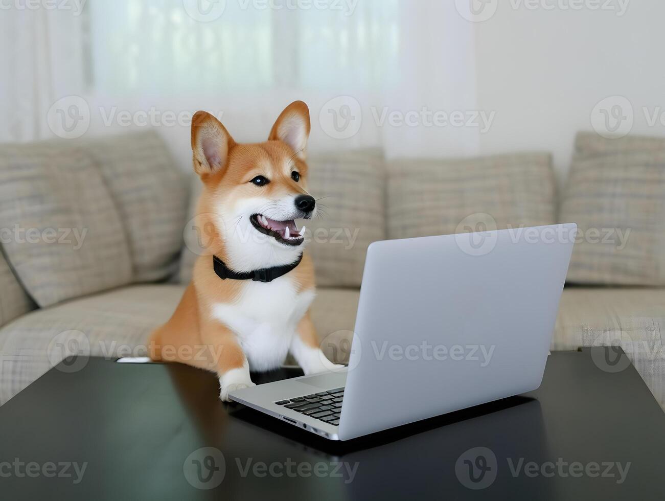 Busy shiba inu dog with eyeglasses. Concept of hardworking pet officer. photo
