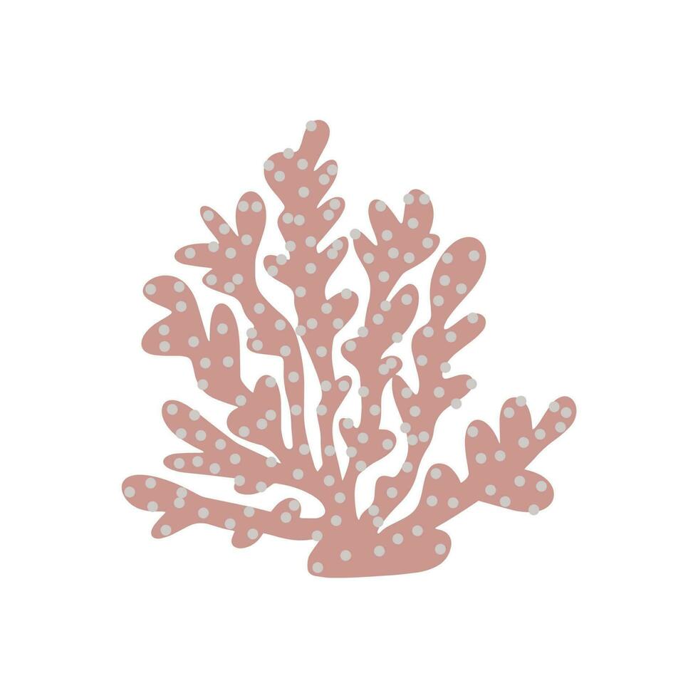 Coral. Underwater element. Vector illustration in scandinavian style. Sea ocean.