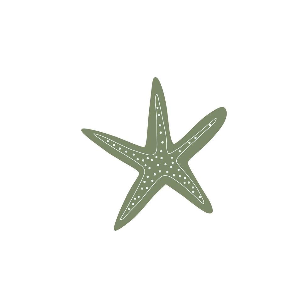 Starfish. Atlantic star. Marine Animal Vector illustration on white background.