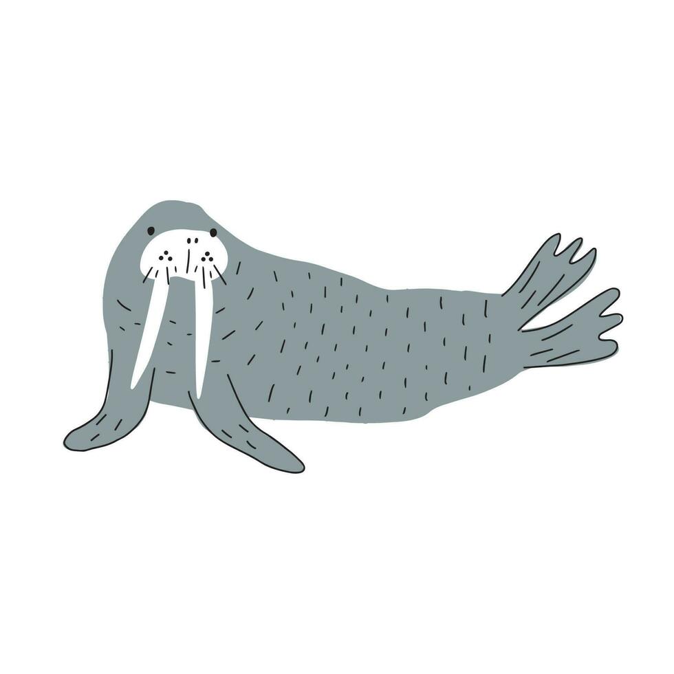 Cute walrus in Scandinavian style on a white background. Vector hand drawn kids illustration. Sea ocean. Underwater world