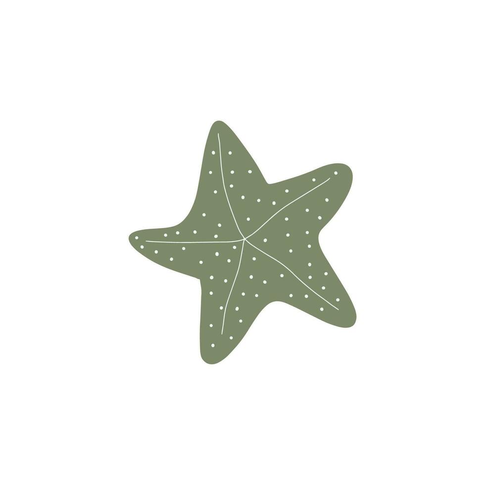 estrella de mar. atlántico estrella. marina animal vector ilustración en blanco antecedentes.