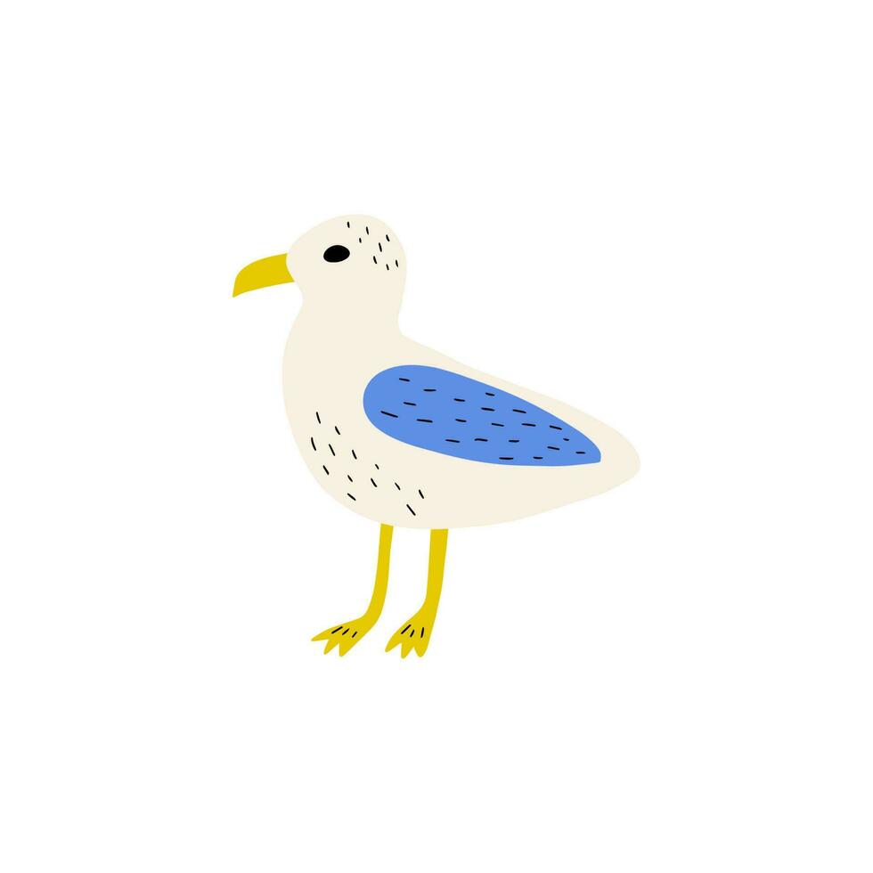 Seagull. Atlantic seabird. Marine Animal Vector illustration on white background.