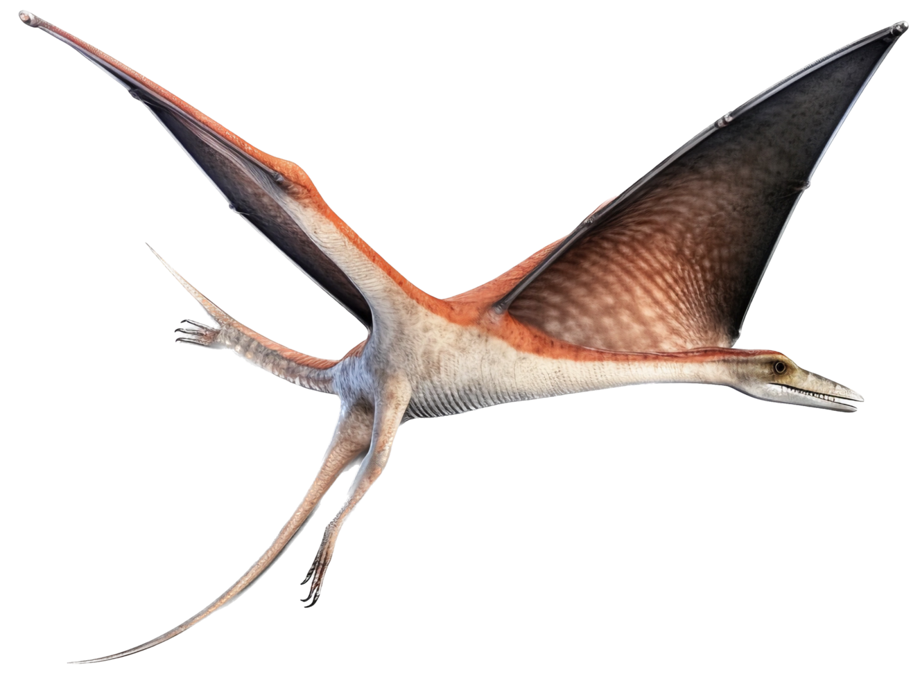 pteranodon vliegend PNG met ai gegenereerd.