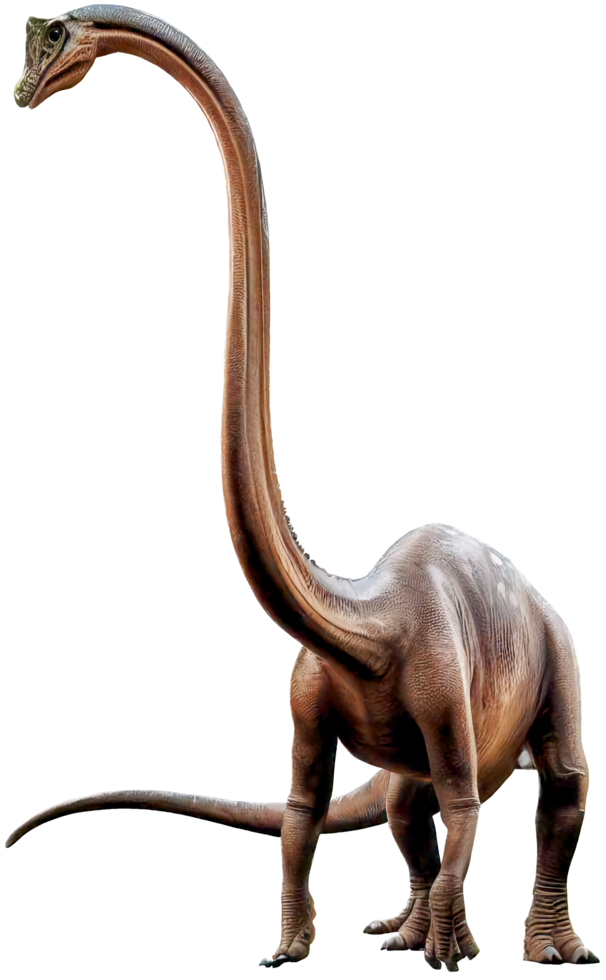 Brachiosaurus with . png
