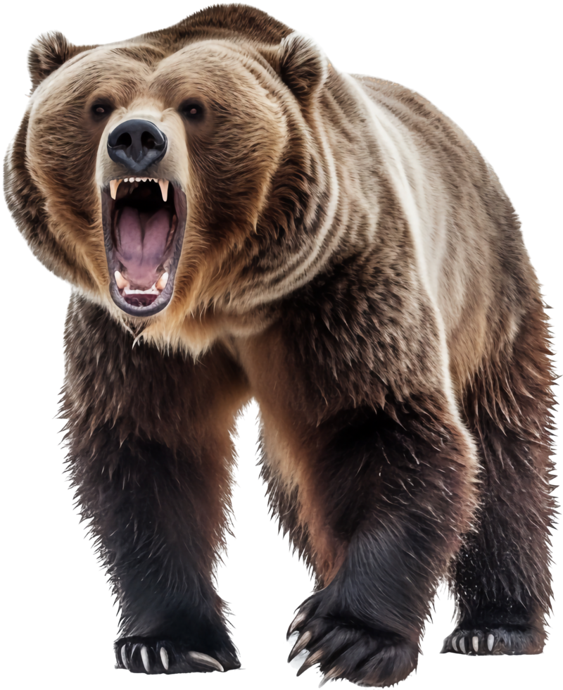 Bear with . png