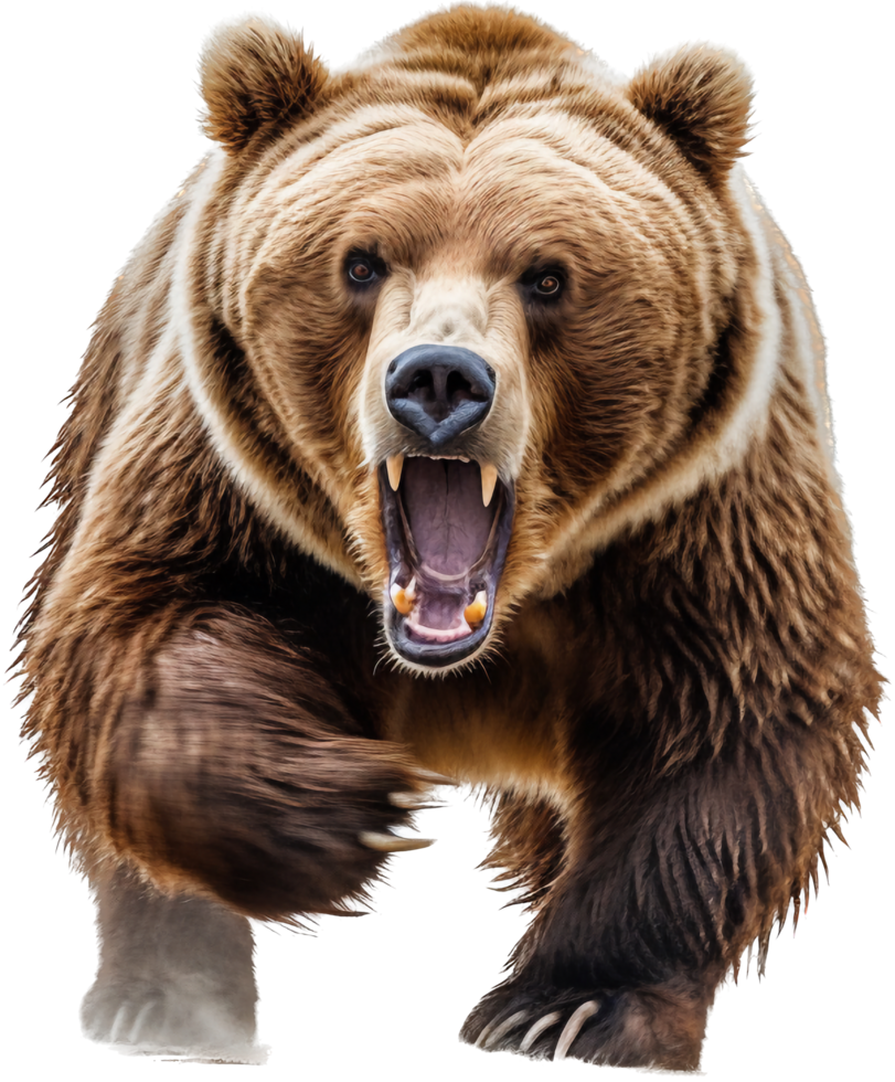 Urso png com ai gerado.