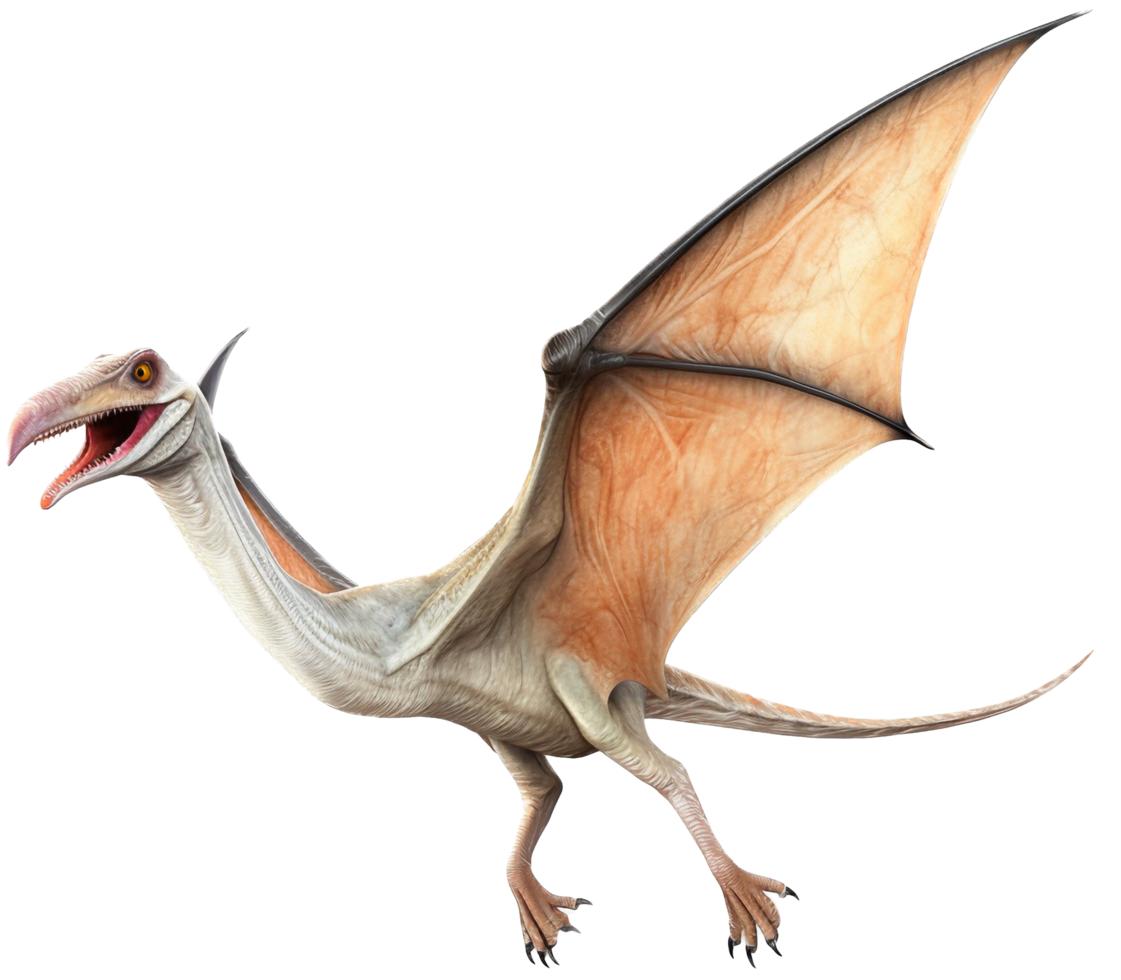 Pteranodon flying with . png